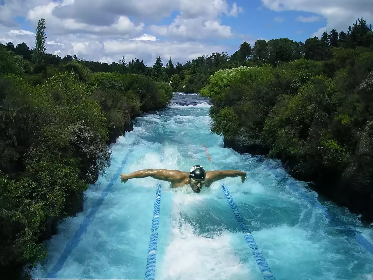 The Fastest Swimmers in the World and their Achievements